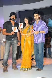 Andala Rakshasi Audio release