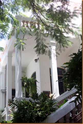 olinda09 619