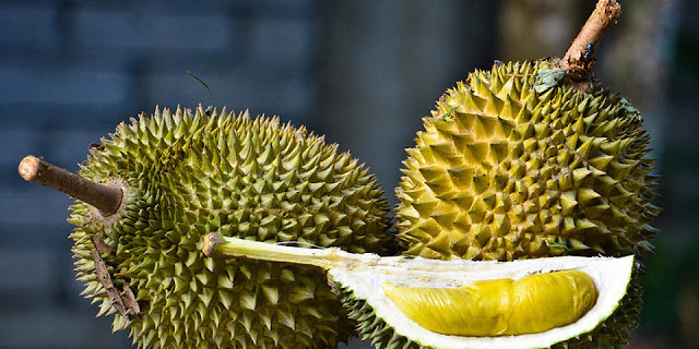  Aneka Manfaat Durian untuk Kesehatan
