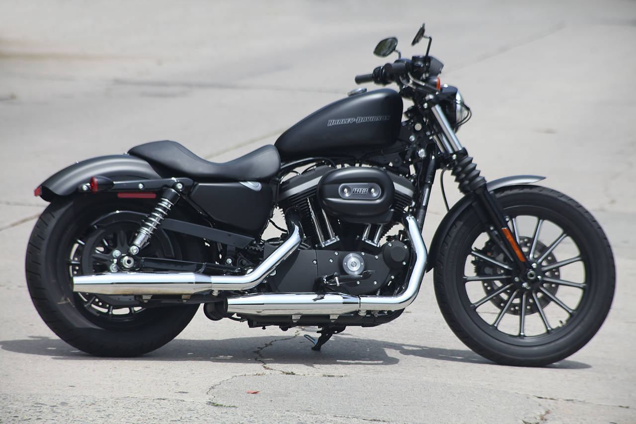 Harley Davidson iron 833, latest bike,2011,2012,2013 images, pictures ...