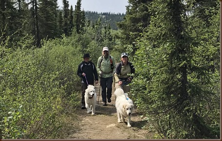 Fairbanks AK136-9 Jun 2018