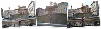 Ver farnese