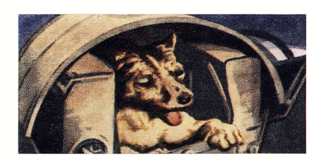 1958 Mills Filtertips : Into Space #7 - Laika, The Sputnik Dog