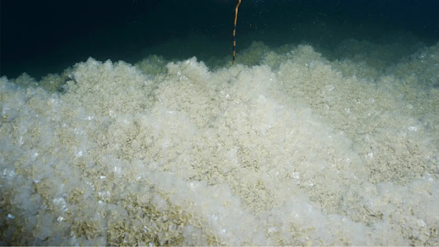 Precipitación de sal en el lecho del lago del Mar Muerto