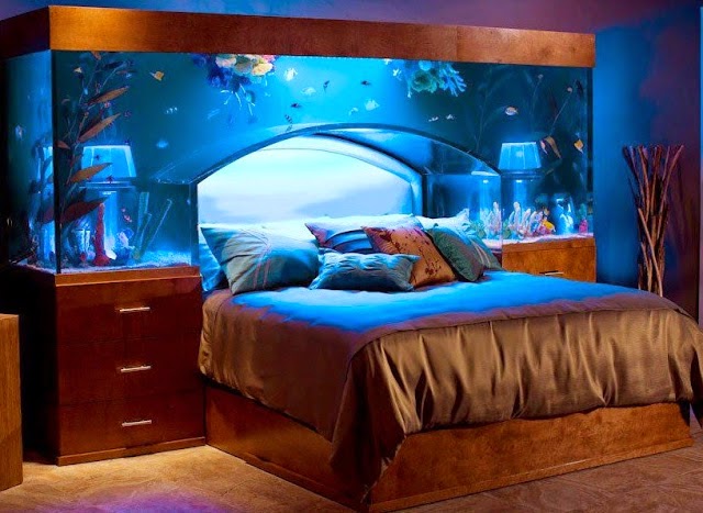 Unique Bedrooms best today