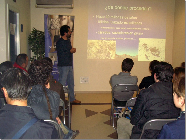 Charla Comportamiento Gato