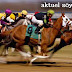 01.08.2013 Ankara At Yarışı Yorumları (Yarış Bülteni - Koşu Programı 1 Ağustos 2013)