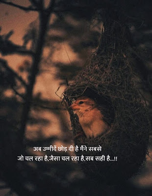 True Line Quotes Images In Hindi