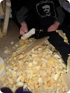 SAM_2007