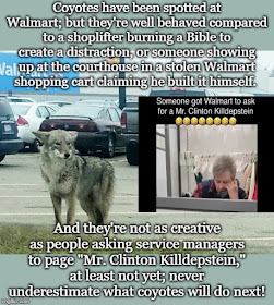 Non Violent Grass Roots Reform And Democracy Walmart Crime Report December 2019 - how to meet your roblox girlfriend in the walmart parking