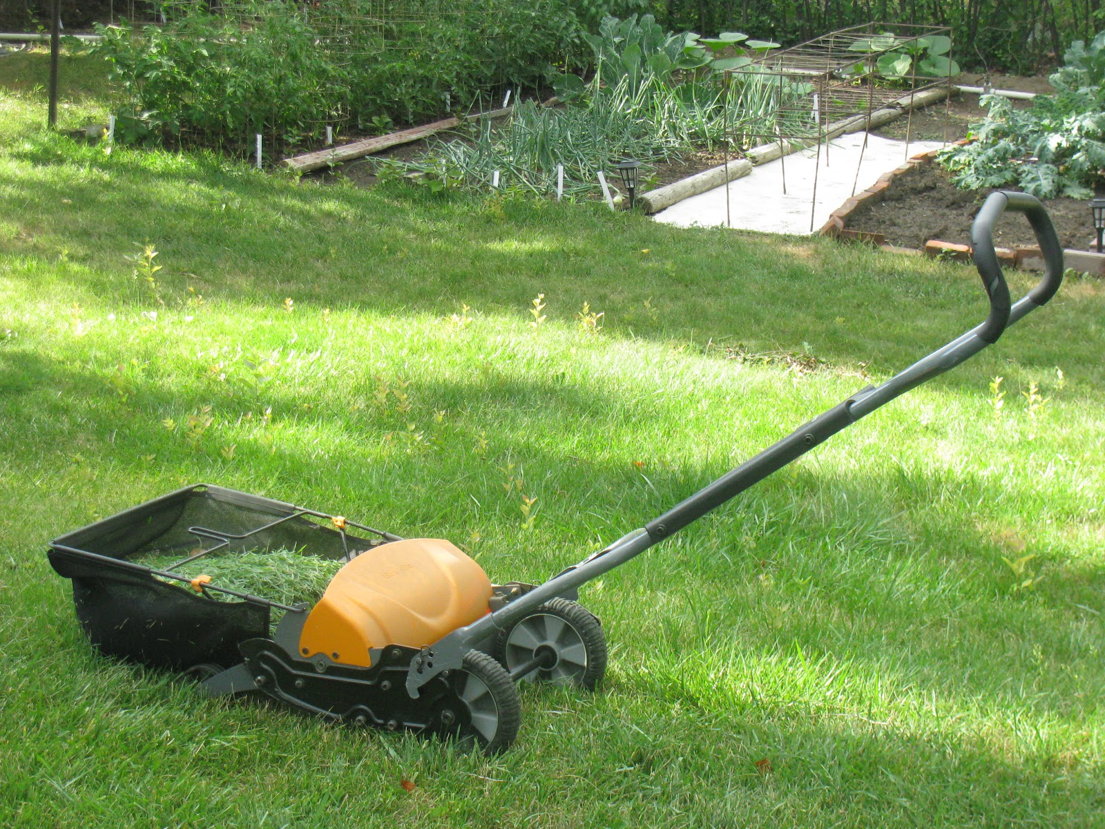 The Best Reel Lawn Mower