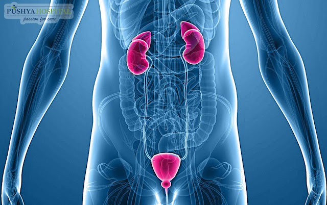 Top Urology Hospital Ahmedabad