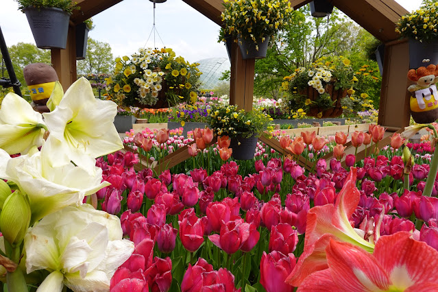 鳥取県西伯郡南部町鶴田 とっとり花回廊 エントランス展示