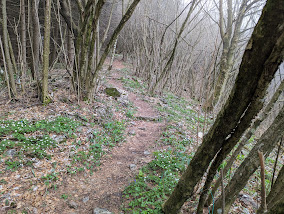 Trail on Monte Ballerino