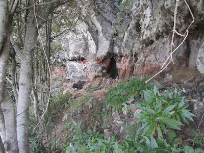 TEGUESTE - MESA DE TEJINA, cueva y goteras de agua que forman pequeñas fuentes