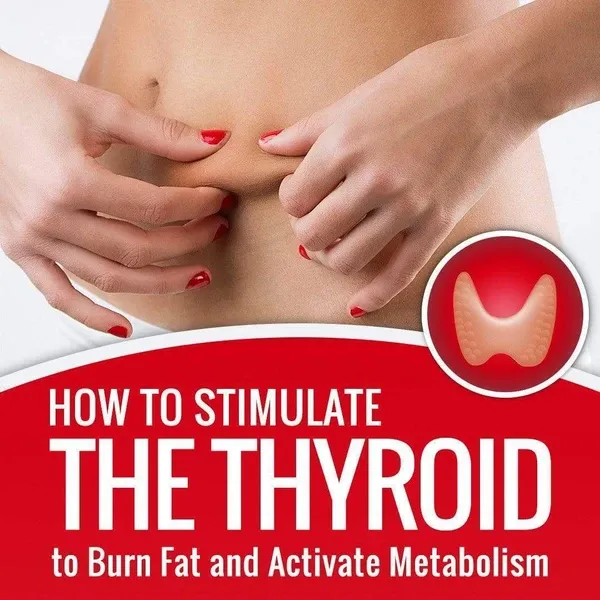 How To Stimulate The Thyroid To Burn Fat And Activate Metabolism