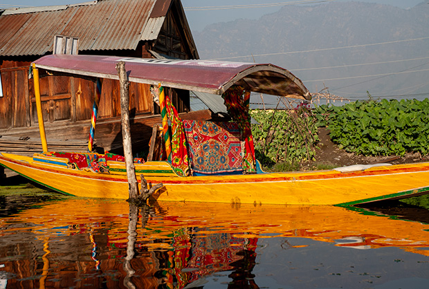 Dal Lake, Reflections from a houseboat. Kashmir India