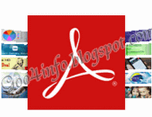Adobe Reader (11.0.10)