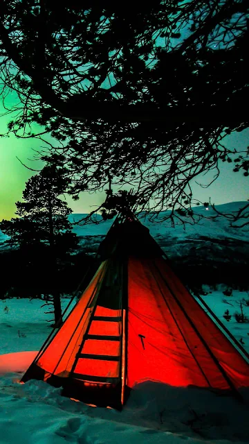 Camping, Night, Northern Lights, Tent, Camping, Winter