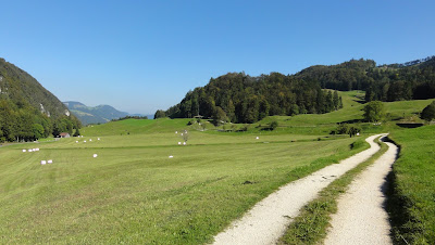 guldental-scheltenpass