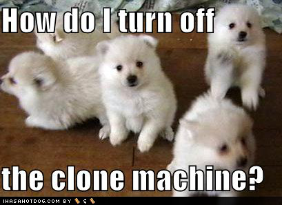 Cute Puppies Dogs on This Blogthis Share To Twitter Share To Facebook Labels Cute Dogs Cute