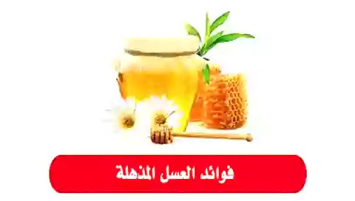 أهمية العسل الأبيض للصحة