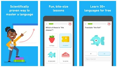 Dualingo: Learn Languages Free