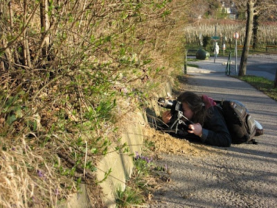 Photoseekers - Photos of Photographers Taking Photos Seen On www.coolpicturegallery.net