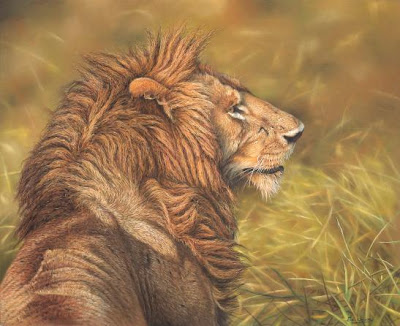 Wildlife Paintings