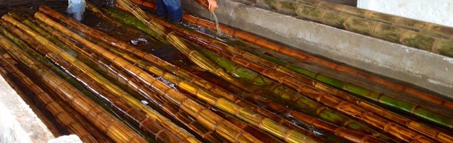  Cara  Pengawetan Bambu Menggunakan Bahan Kimia Atau Cara  