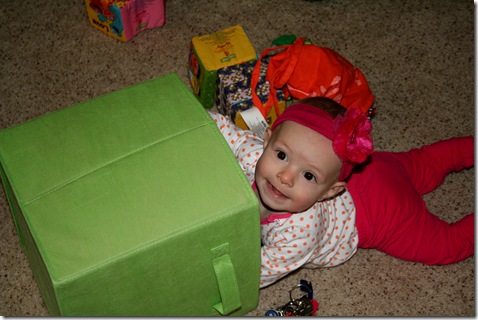 Finley in green bin