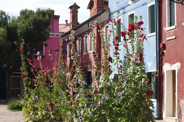 burano ©Shaula Segato