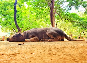 A click from Anna University 