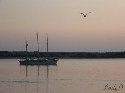 boat returning to the bay