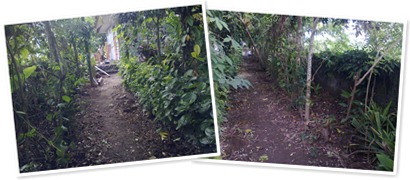 View album