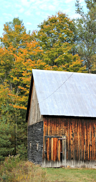 Fall foliage by old barn in Schroon Lake, NY- www.goldenboysandme.com