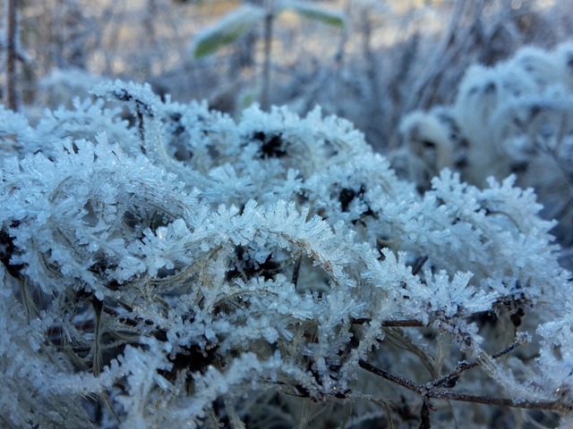 20180108_110147