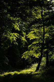 Workshop Fotografie Camcoach Olaf Kerber