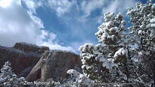 Zion National Park - Beautiful Snow on Peaks and Trees