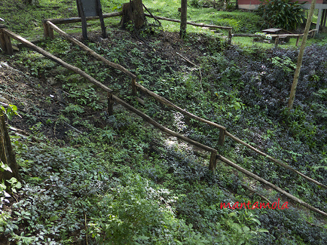 Maewong National Park Thailand