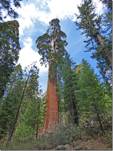 General Grant Sequoia Tree, Grant Grove