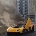 They said this happened on a road in Dubai (photos)