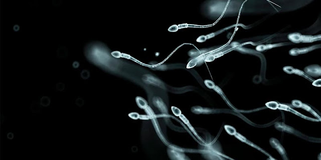 Male Infertility Treatment in Delhi