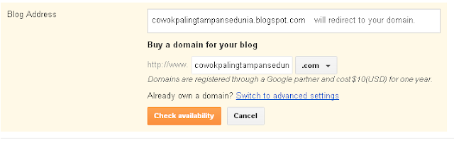 Setting Domain Di Blogger - Tutorial SEO