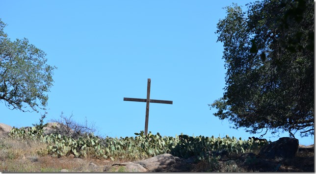 DSC_0093a