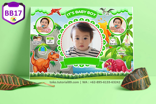 Biodata Bayi Costume Baby Boy Kode BB17 | Dinosaurus