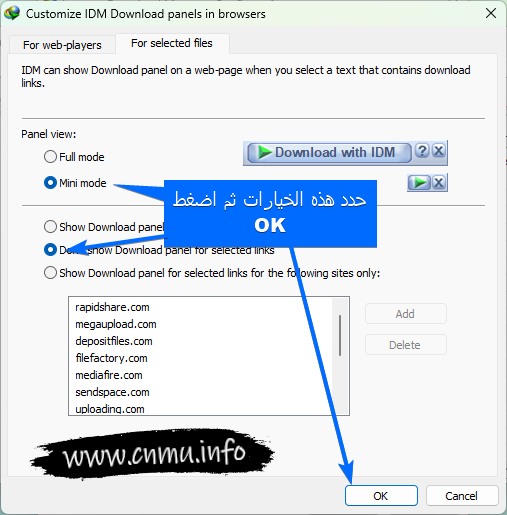 Internet Download Manager