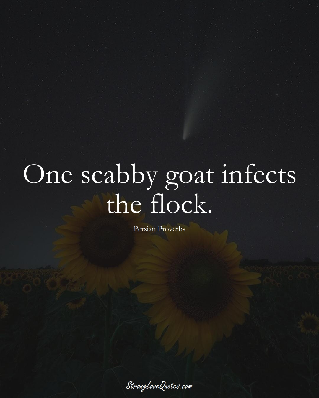 One scabby goat infects the flock. (Persian Sayings);  #aVarietyofCulturesSayings