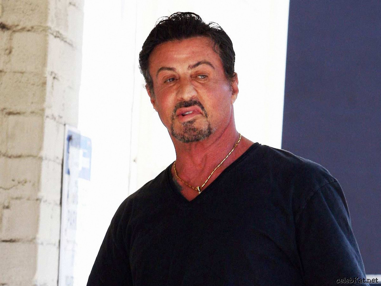 ... ALL ABOUT HOLLYWOOD STARS: Sylvester Stallone New HD Wallpapers 2012