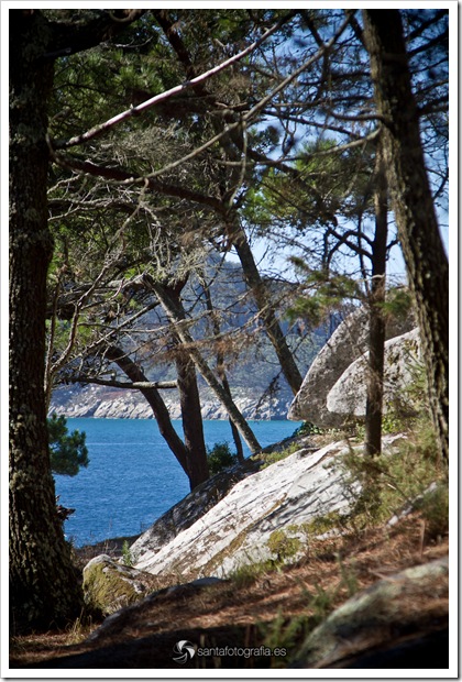 cies-9